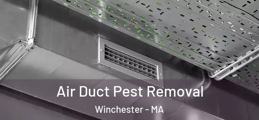  Air Duct Pest Removal Winchester - MA