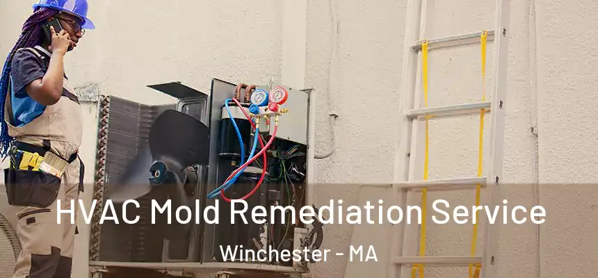  HVAC Mold Remediation Service Winchester - MA