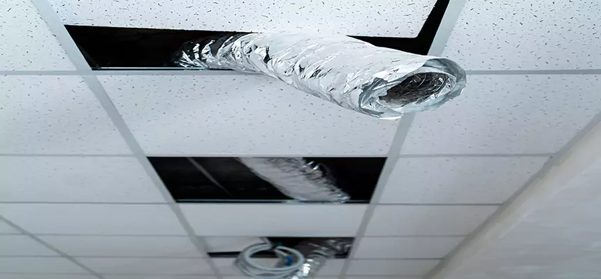 Our Air Duct Pet Hair Removal Services in Winchester, MA