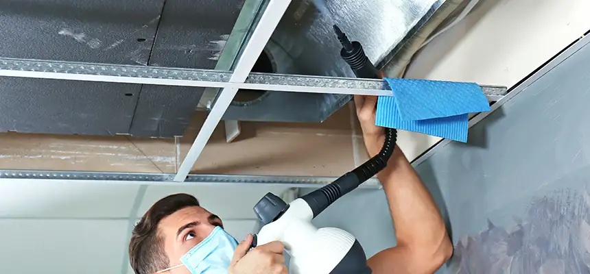 Our Air Duct Rodent Removal Services in Winchester, MA