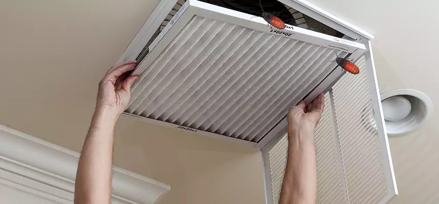 Our Insect Removal from Air Ducts Services in Winchester, MA