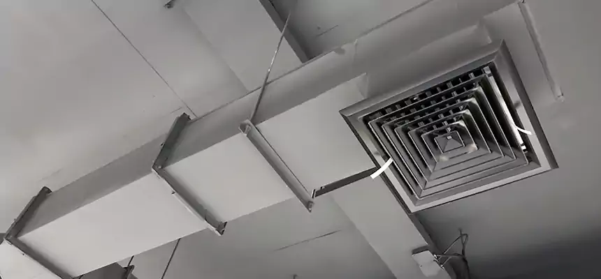 Our Rodent Droppings In Vents Services in Winchester, MA