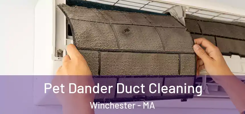  Pet Dander Duct Cleaning Winchester - MA