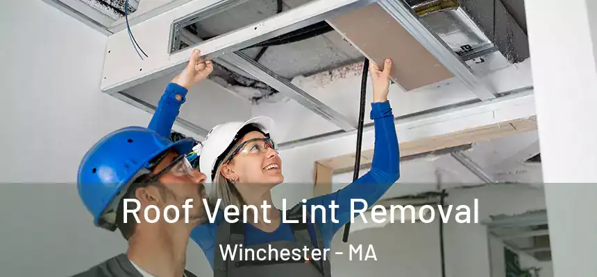 Roof Vent Lint Removal Winchester - MA