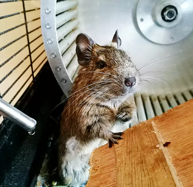 Why Homeowners & Businesses Trust Us Winchester, MA